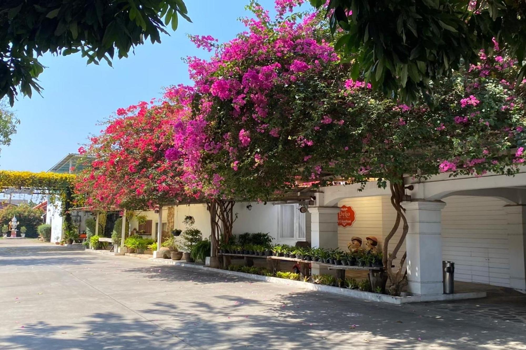 Delio Boutique Hotel Udon Thani Exterior foto